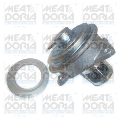 EGR Valve
